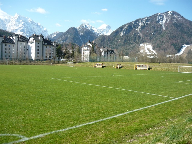 从单一技能